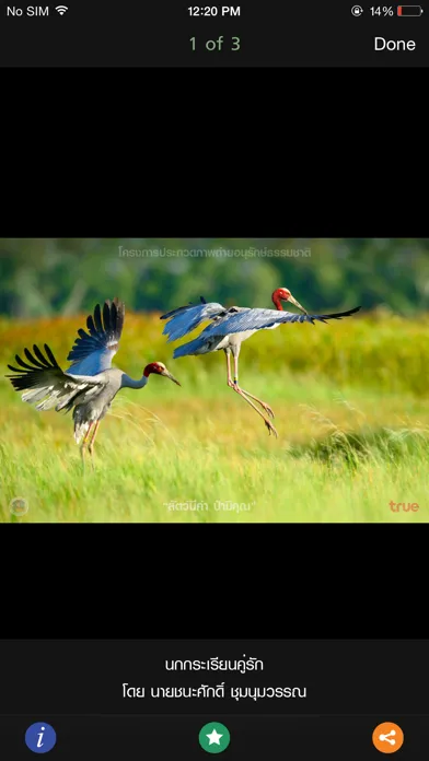 True Photo Contest স্ক্রিনশট