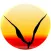 Venice 311 App