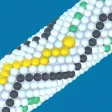 Corn Snake 3D Corn Snake 3D