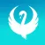 Teal Swan
