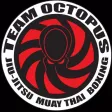Team Octopus