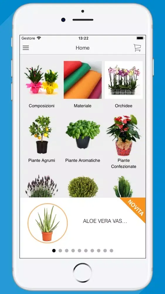 Capturas de pantalla de Losiflores
