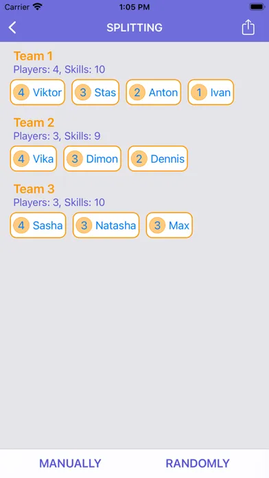 Team Splitter应用截图