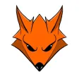 Team Foxx
