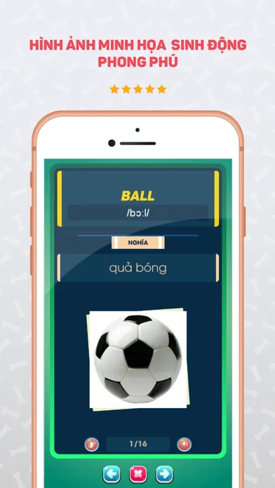 Bucha học Tiếng Anh - English应用截图