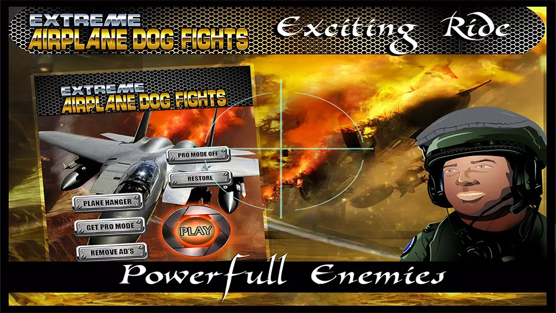 Extreme Airplane Dog Fights : Free سکرین شاٹس