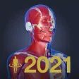 3D anatomy teamLabBody2021 3D anatomy teamLabBody2021