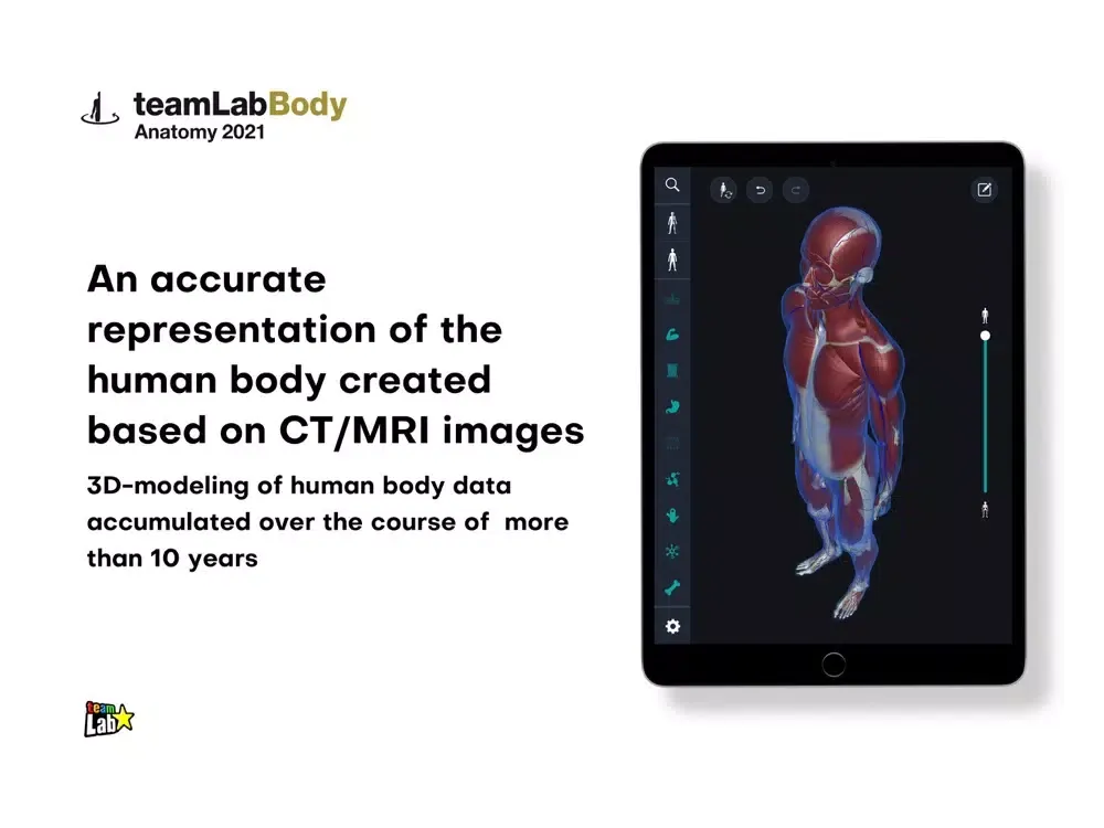 3D anatomy teamLabBody2021 iPad  スクリーンショット