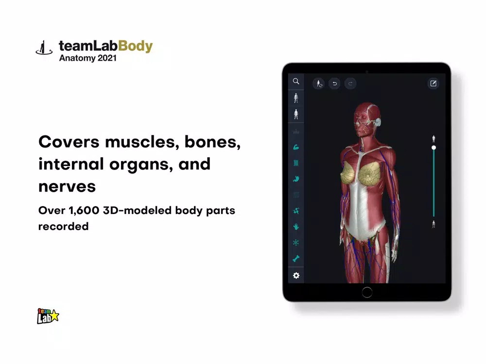 Capturas de tela do 3D anatomy teamLabBody2021 iPad 