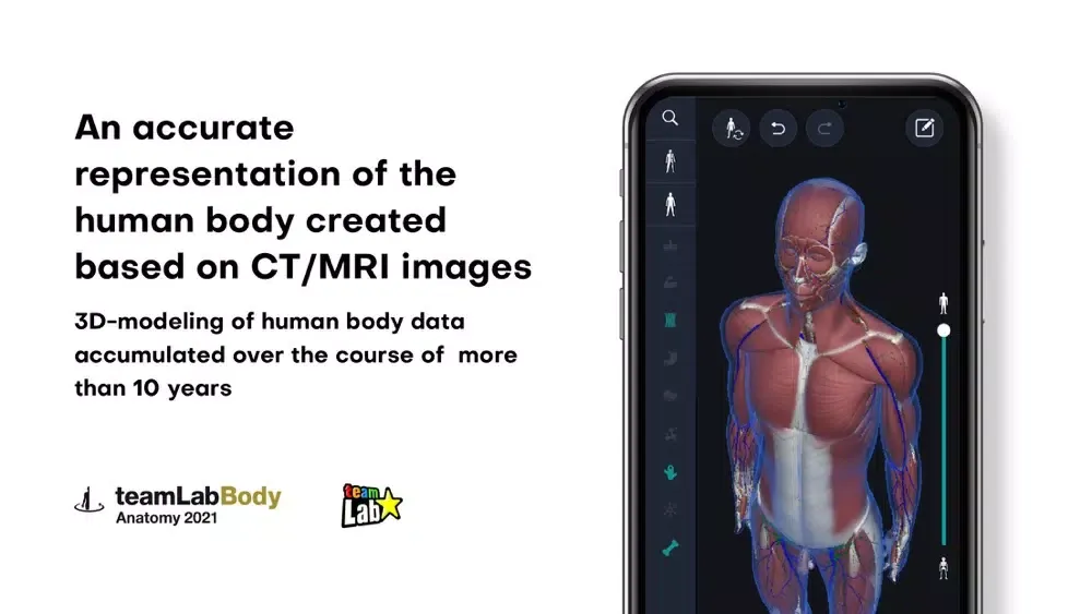 3D anatomy teamLabBody2021 スクリーンショット