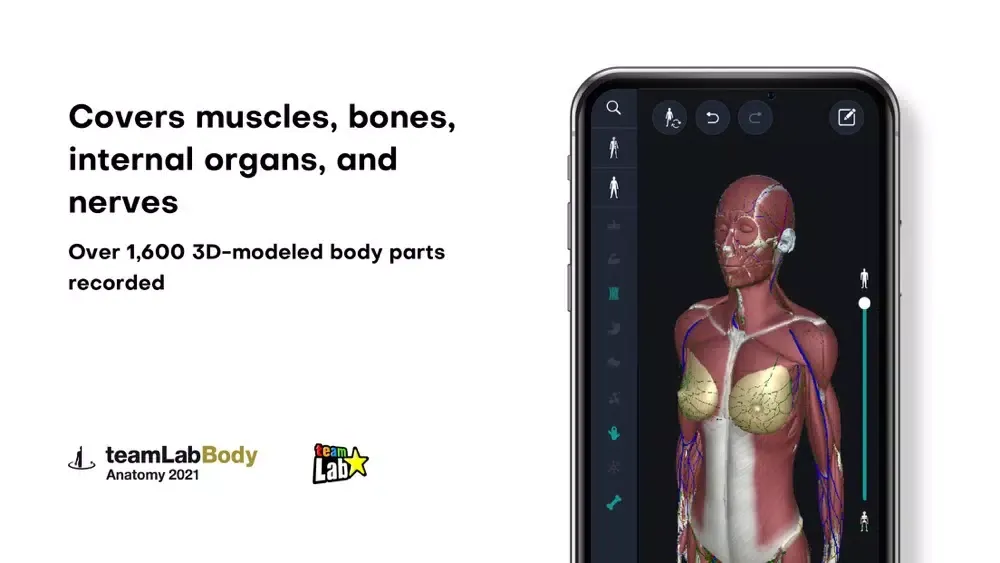3D anatomy teamLabBody2021 スクリーンショット
