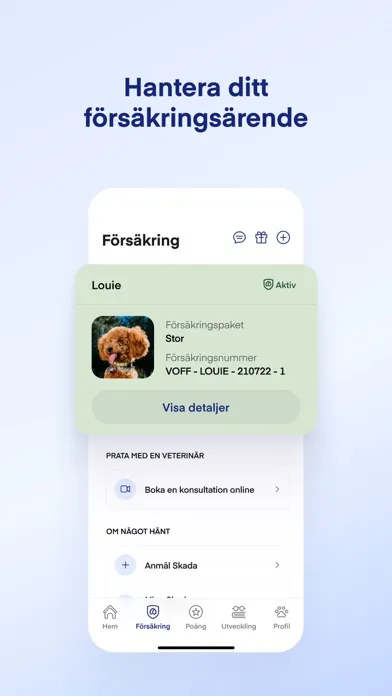 Tangkapan layar Lassie