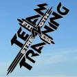 Team N Training