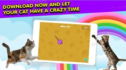 Ninja Cat: Game for Cats 스크린샷