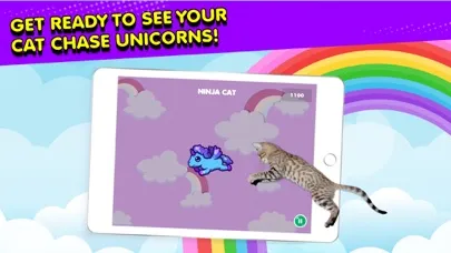 Ninja Cat: Game for Cats 스크린샷