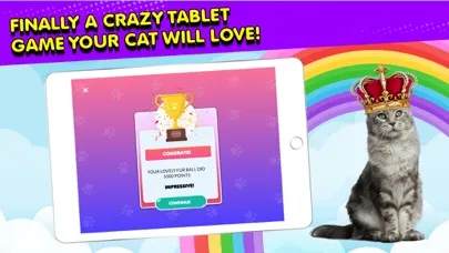 Ninja Cat: Game for Cats 스크린샷