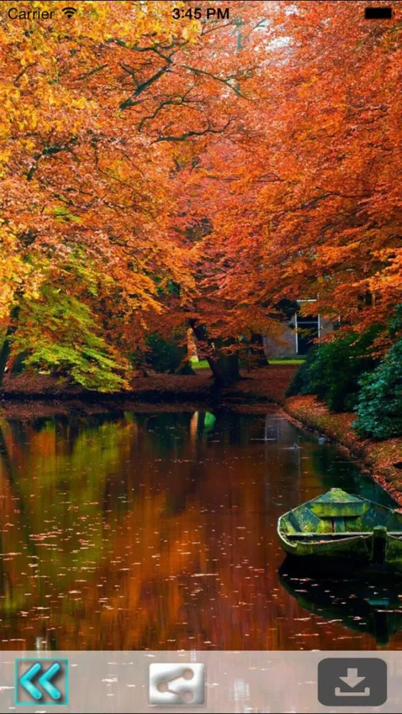 Screenshot di Autumn Wallpaper : Best Theme & LockScreens