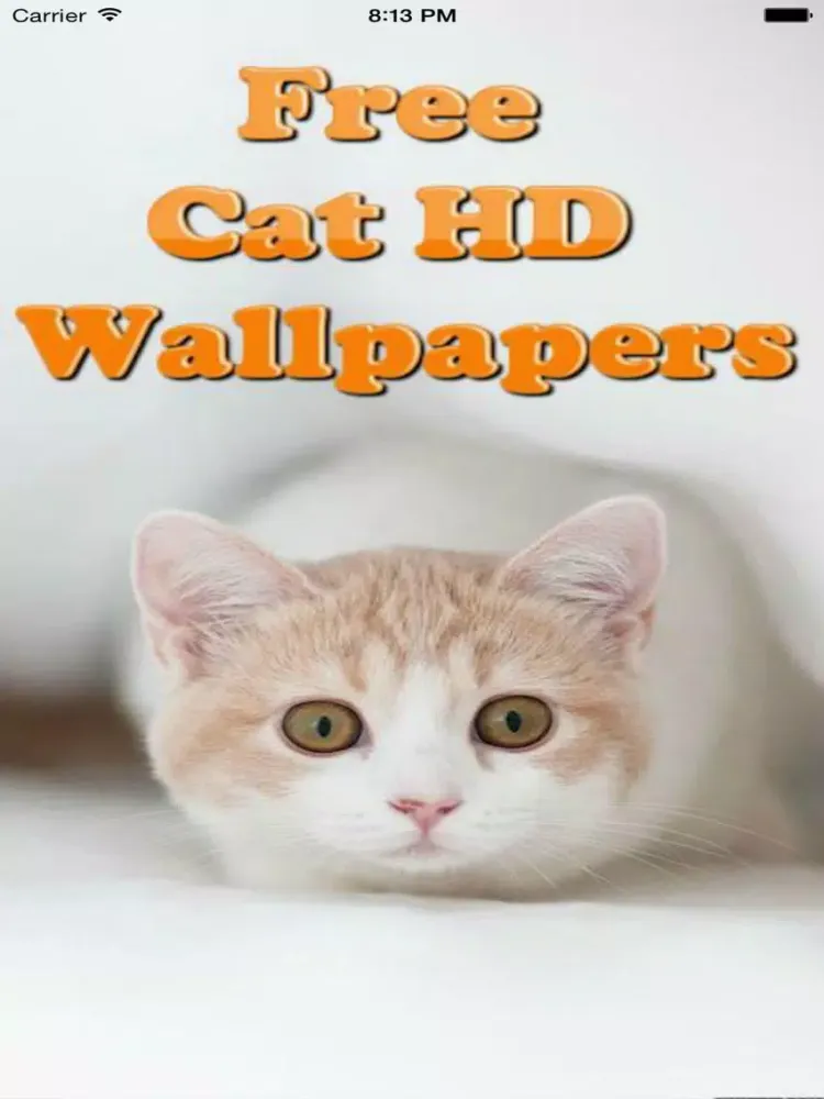 Screenshot di Cute Cats Wallpapers (HD) - Best Kitty Backgrounds iPad 