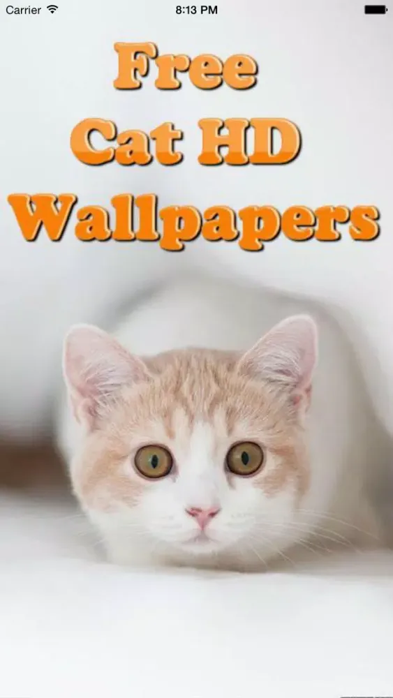 Screenshot di Cute Cats Wallpapers (HD) - Best Kitty Backgrounds