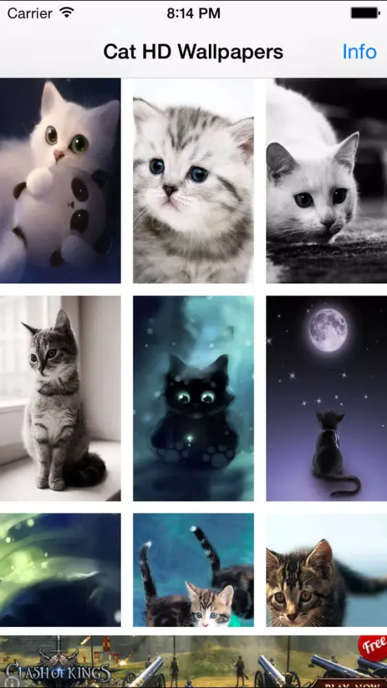 Screenshot di Cute Cats Wallpapers (HD) - Best Kitty Backgrounds