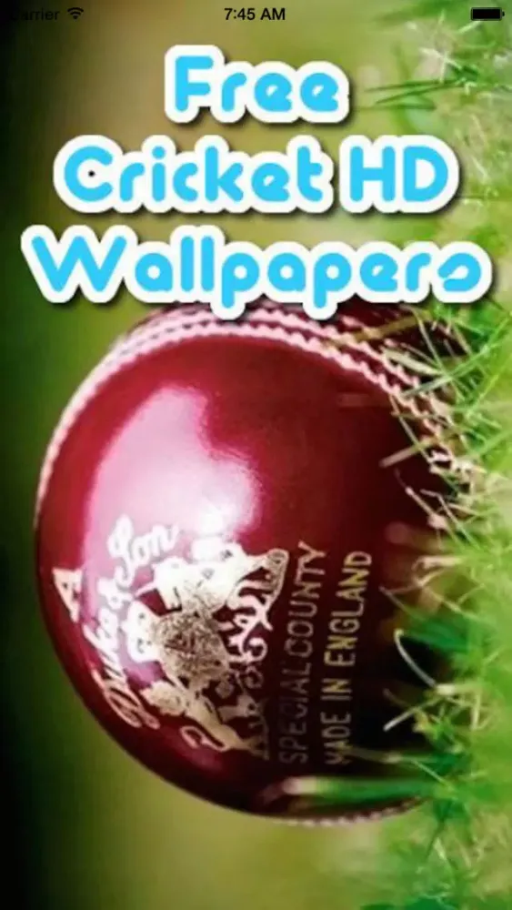 Cricketers Wallpaper HD - Cricket Players Pictures应用截图
