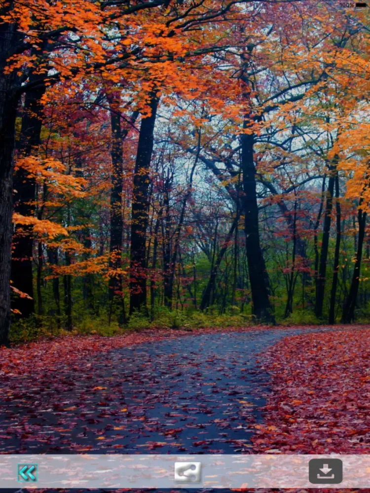 First Day Fall - Autumn HD Wallpapers iPad  سکرین شاٹس
