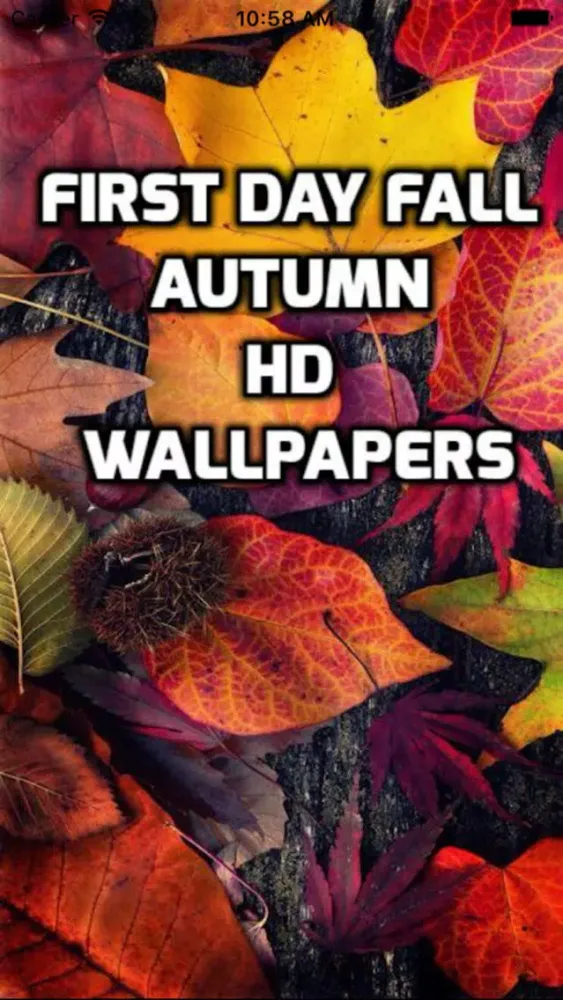 First Day Fall - Autumn HD Wallpapers سکرین شاٹس