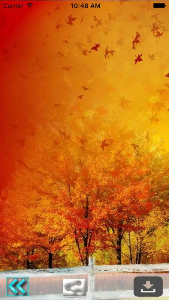 First Day Fall - Autumn HD Wallpapers سکرین شاٹس