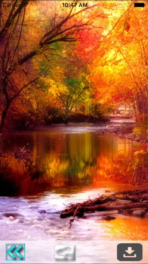 First Day Fall - Autumn HD Wallpapers سکرین شاٹس