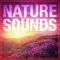 Nature Sounds-Relax and Sleep