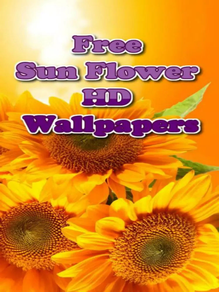 Captures d'écran de Sunflower Wallpapers iPad 