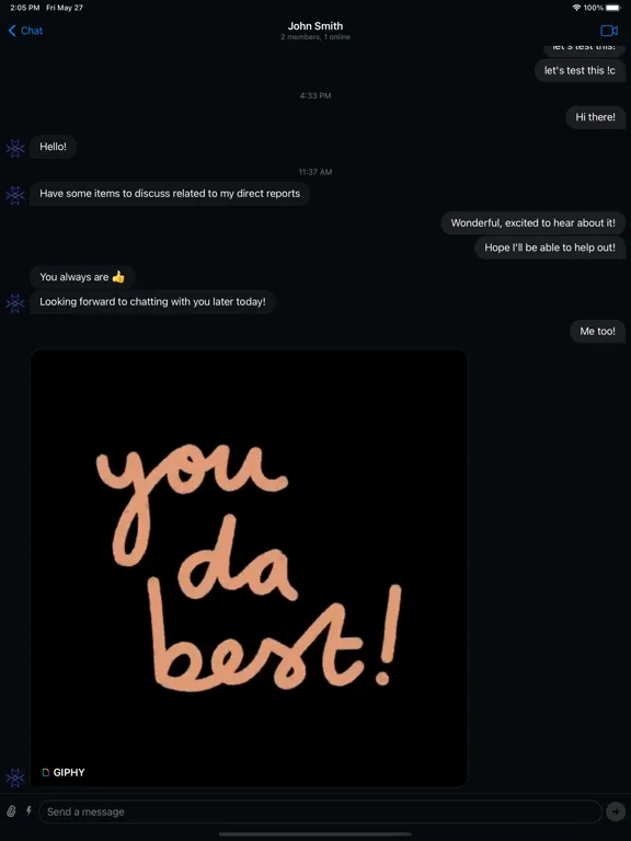 Sidebar Chat iPad 应用截图