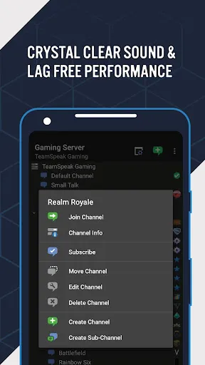 TeamSpeak 3 - Voice Chat Screenshots