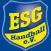 Eschweiler SG Handball