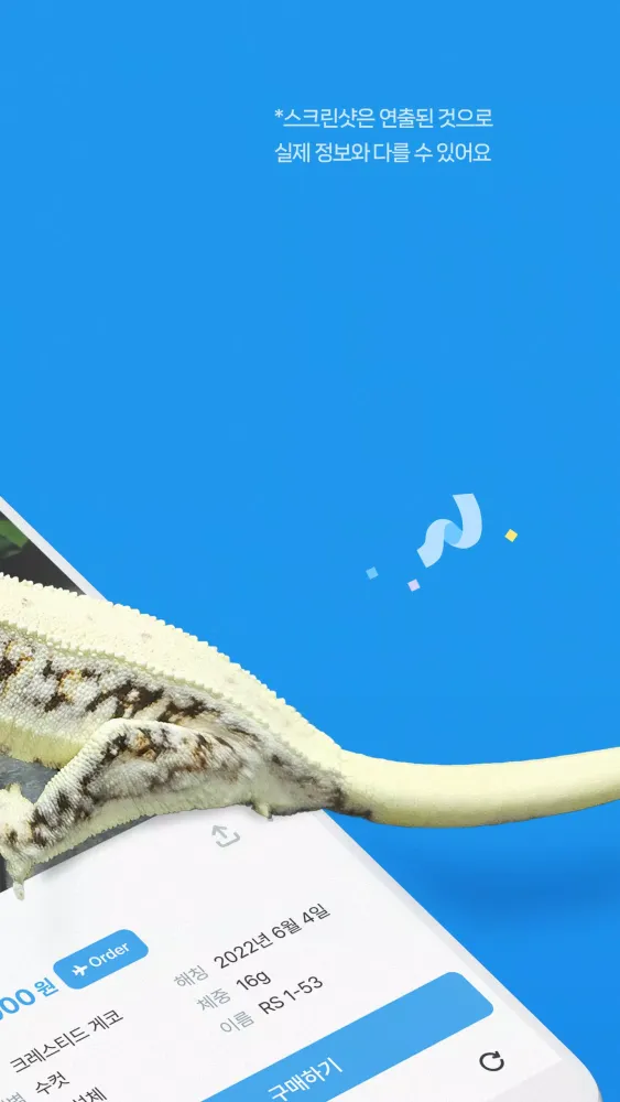 피들 スクリーンショット