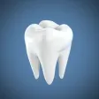 DentShadeAI