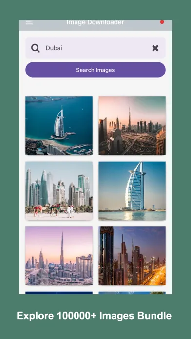 Image Search & Save應用截圖