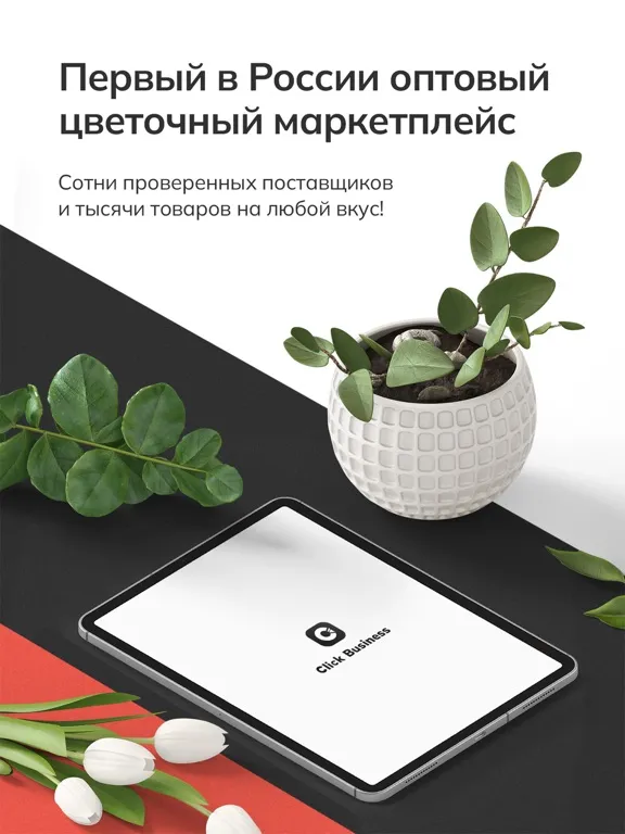 Capturas de pantalla de Click Business iPad 