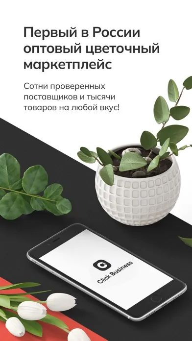 Capturas de pantalla de Click Business