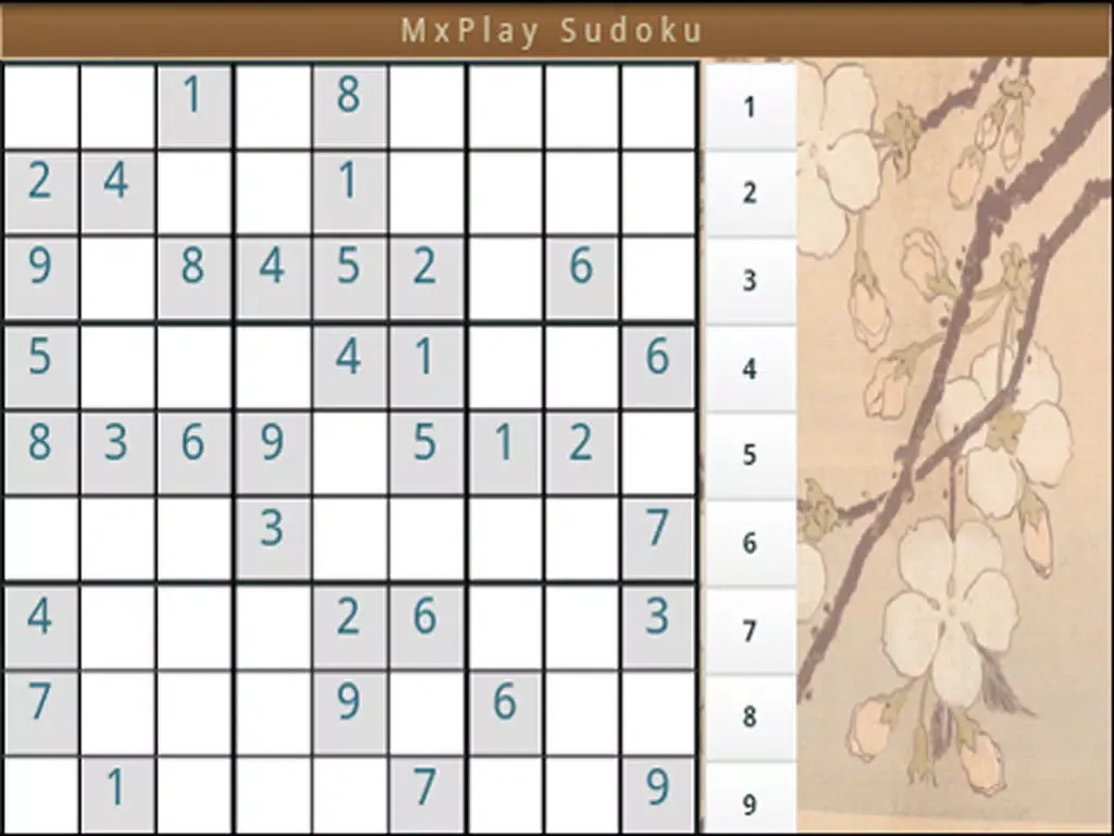 Sudoku MxPlay iPad 应用截图