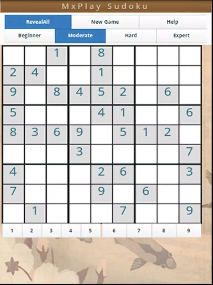 Sudoku MxPlay iPad 应用截图
