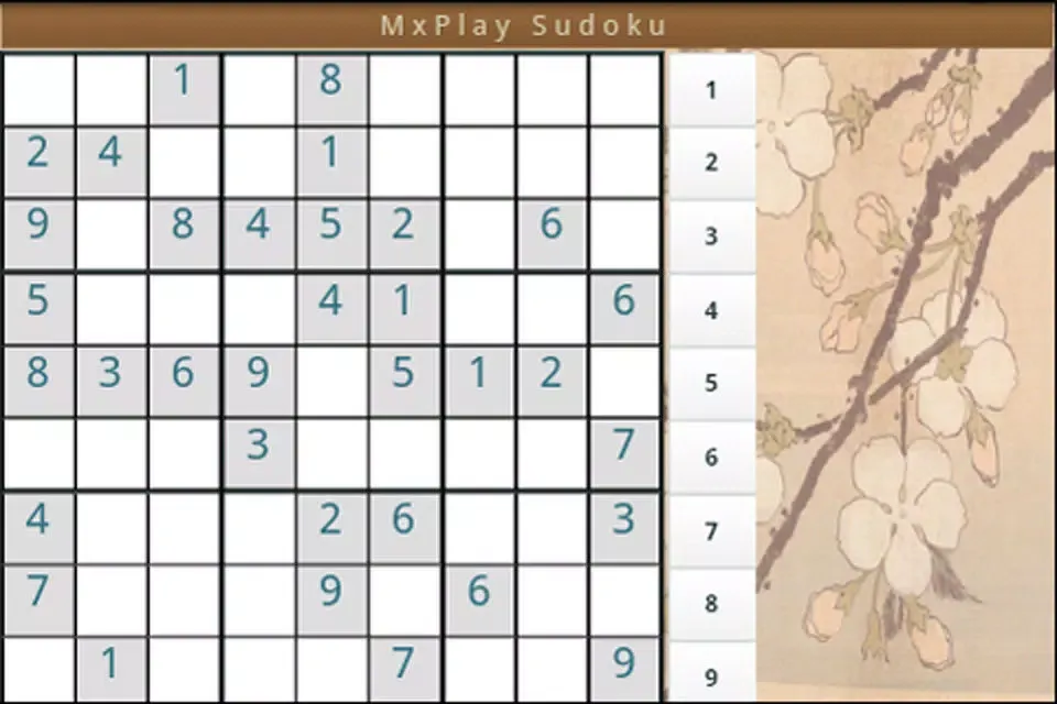Sudoku MxPlay应用截图