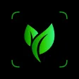 Plant Pic Identifier