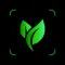 Plant Pic Identifier