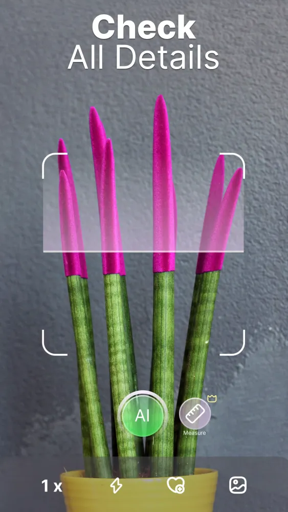 Plant Pic Identifier Screenshots