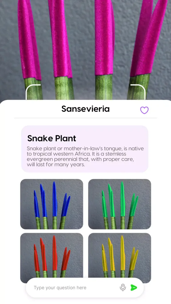 Plant Pic Identifier Screenshots