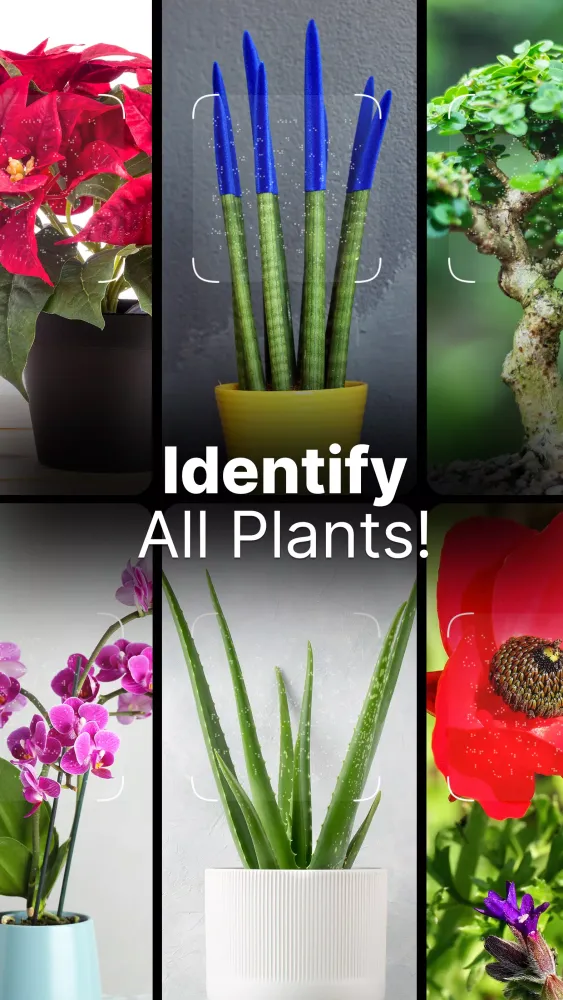 Plant Pic Identifier Screenshots
