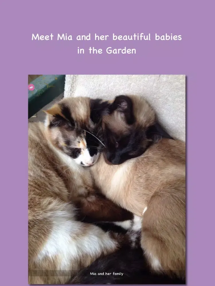 Tangkapan layar Kimberley's Animal Sanctuary - A happy place for animals iPad 