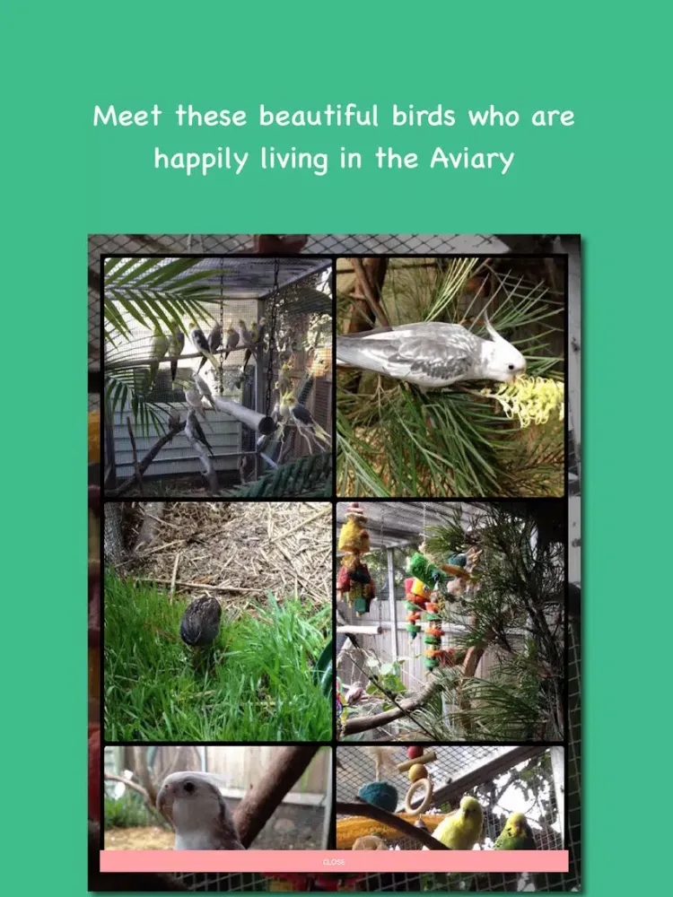Tangkapan layar Kimberley's Animal Sanctuary - A happy place for animals iPad 