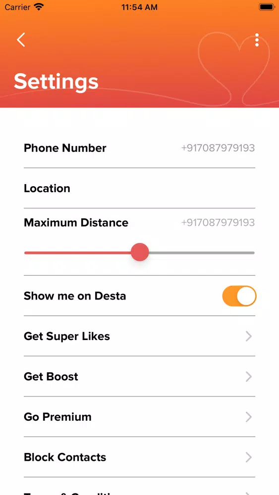 Desta – Meet African Singles Screenshots